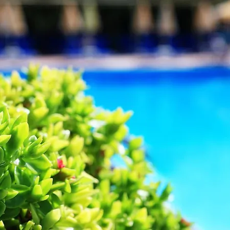 Курортный комплекс Santa Marina 4*